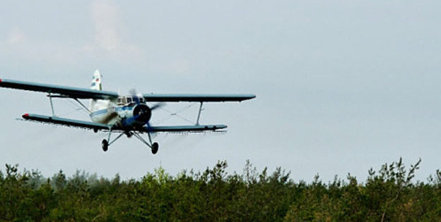 Авиаобработка леса в Иловлинском районе Волгоградской области. Борьба с рыжим сосновым пилильщиком. 6 мая 2010 года. Фото "Кавказского Узла"