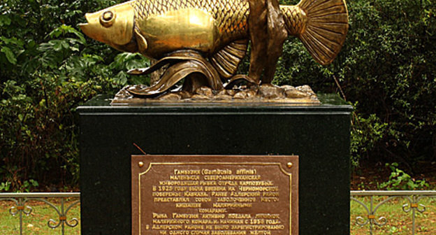 Памятник рыбке гамбузии в поселке Адлер. 25 июня 2010 года. Фото "Кавказского Узла"