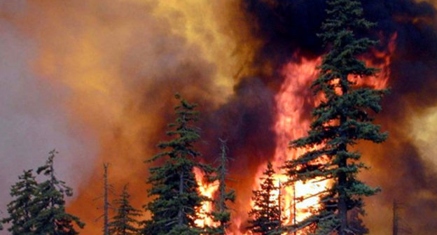 Фото с сайта http://zhurnal.lib.ru