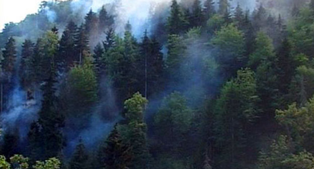 Пожар около села Ацкури (Грузия), 12 августа 2010 года. Фото с сайта www.ekhokavkaza.com, автор Майя Ивелашвили