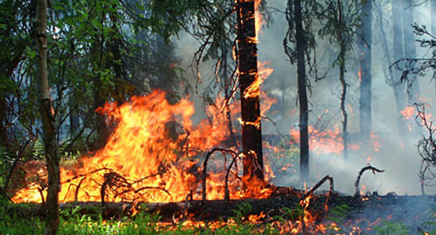 Лесной пожар. Фото с сайта www.aviales-rkomi.ru