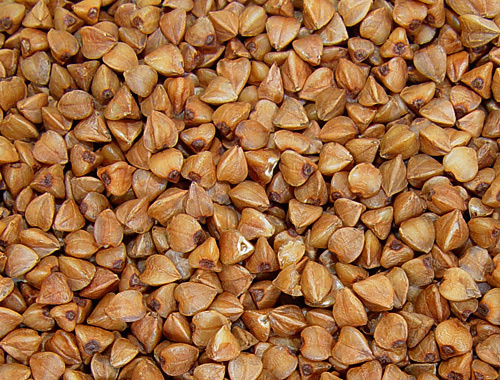 В Ставропольском крае гречневая крупа подорожала на 36%. Фото с сайта http://ru.wikipedia.org