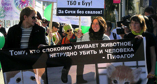 Участники экологического марша на Приморской набережной Сочи, 7 ноября 2010 года. Фото "Кавказского узла" Участники экологического марша на Приморской набережной Сочи, 7 ноября 2010 года. Фото "Кавказского узла"