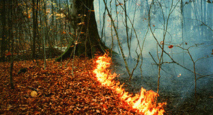 Лесной пожар в Сочинском национальном парке. Фото "Кавказского узла"
Лесной пожар в Сочинском национальном парке. Фото "Кавказского узла"