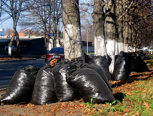 Владикавказ, улица Леонова, ноябрь 2010 года. Фото "Кавказского узла"