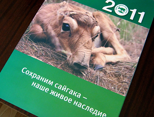 Календарь о сайгаках, выпущенный 21 декабря в Калмыкии. Фото "Кавказского узла"