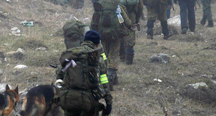 Спецоперация в Сунженском районе Ингушетии 28 марта 2011 г. Фото: "ГОЛОСИНГУШЕТИИ.РУ"