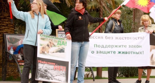 Акция "Россия без жестокости" в Сочи, 23 апреля 2011 г. Фото "Кавказского узла"