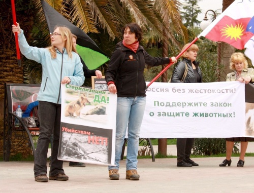 Акция "Россия без жестокости" в Сочи, 23 апреля 2011 г. Фото "Кавказского узла"