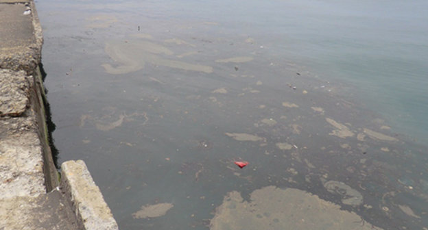Загрязнение поверхности моря в районе центральной набережной г. Сочи. 19 мая 2011 г. Фото "Кавказского узла"
