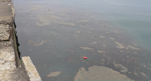 Загрязнение поверхности моря в районе центральной набережной г. Сочи. 19 мая 2011 г. Фото "Кавказского узла"