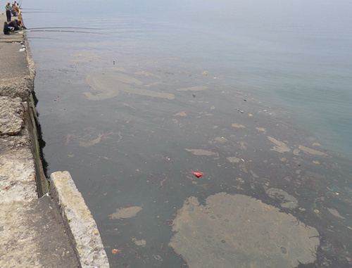 Загрязнение поверхности моря в районе центральной набережной г. Сочи. 19 мая 2011 г. Фото "Кавказского узла"