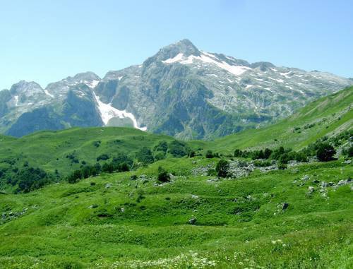 Вид  на гору Фишт с тропы маршрута No.30. Адыгея, август 2011 г. Фото "Кавказского узла" 