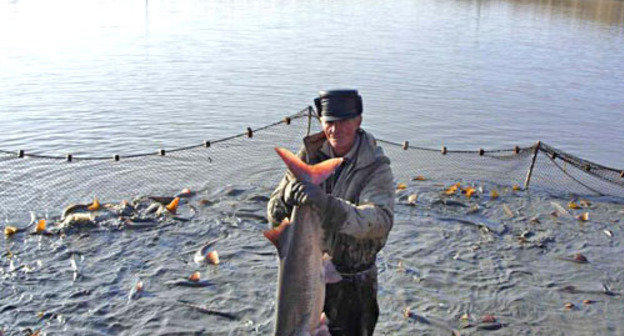 Рыбоводческое хозяйство в Дагестане. Фото: О. Дрокина, www.tarumovka.ru