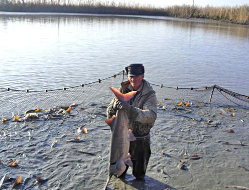 Рыбоводческое хозяйство в Дагестане. Фото: О. Дрокина, www.tarumovka.ru