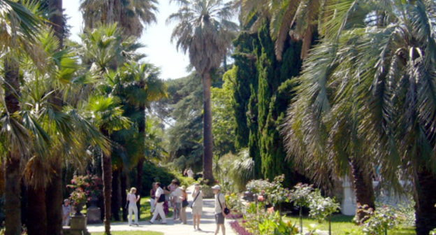 Сочи, аллея в парке "Дендрарий". Фото Светланы Кравченко для "Кавказского узла"