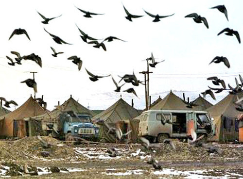 Лагерь временного проживания в Карабулаке в Ингушетии. Фото http://angusht.com