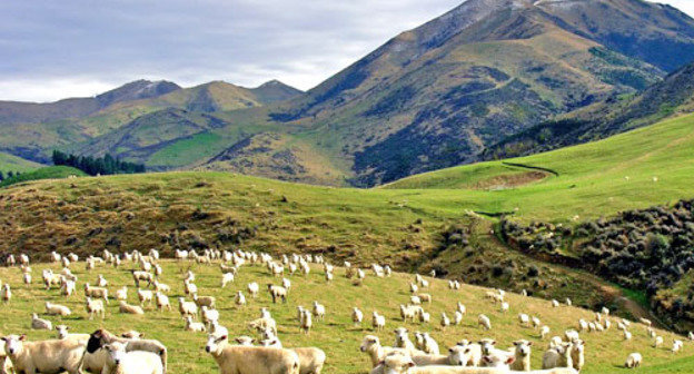 Пастбища в Дагестане. Фото http://pznivi.ru