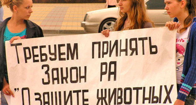 Пикет в защиту бездомных животных и станции юннатов прошел в Майкопе. Адыгея, 5 июня. Фото Олега Чалого для "Кавказского узла"