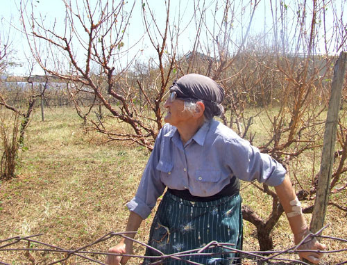 Жительница села Вачнадзиани Назо Касреишвили в своем огороде, который пострадал от урагана. Грузия, июль 2012 г. Фото Эдиты Бадасян для "Кавказского узла"