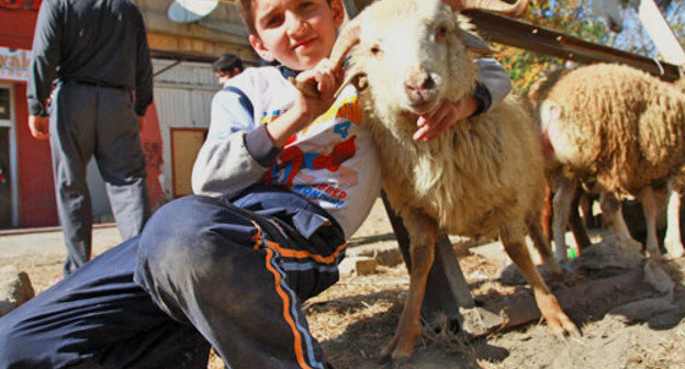 Мусульмане Азербайджана отмечают Курбан-байрам. Баку, 26 октября 2012 г. Фото Азиза Каримова для "Кавказского узла"