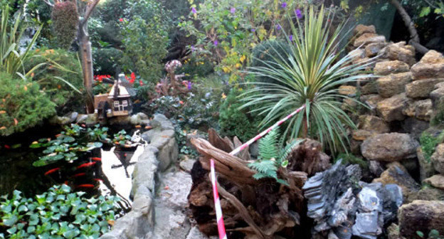 Разрушен памятник природы «Фитофантазия Венчагова». Сочи, ноябрь 2012 г. Фото Светланы Кравченко для "Кавказского узла"