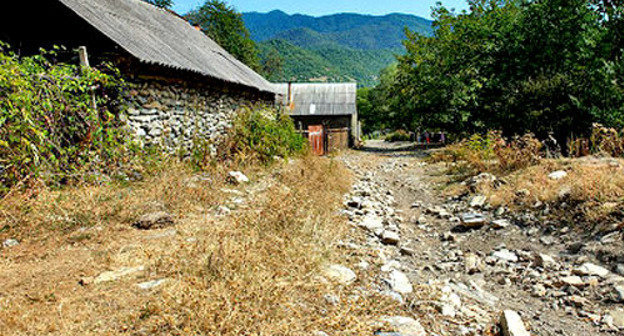 Панкисское ущелье. Фото: Александр Имедашвили, NEWSGEORGIA