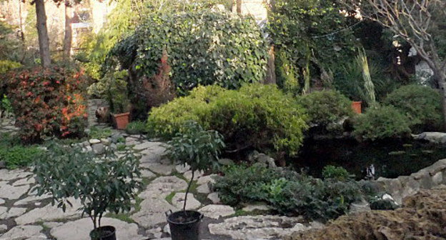 Уголок "Фитофантазия Венчагова" в Сочи. 25 декабря 2012 г. Фото Светланы Кравченко для "Кавказского узла"