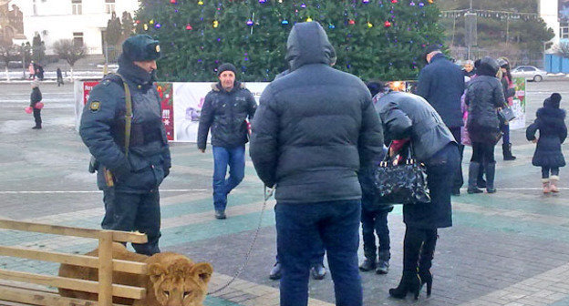 Площадь Ленина в Махачкале. Дагестан, 28 декабря 2012 г. Фото Ахмеда Магомедова для "Кавказского узла"