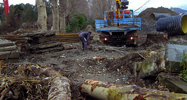 Уничтожение платанов на территории парка "Южные культуры" в ходе строительство асфальтобетонного завода. Сочи, Адлерский район, февраль 2013 г. Фото предоставлено инициативной группой жителей Сочи
