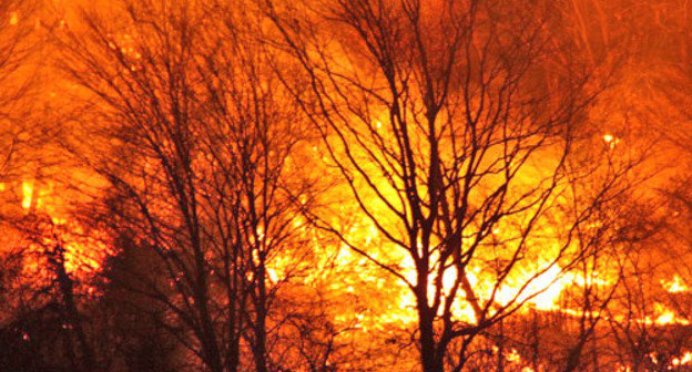 Крупный пожар произошел неподалеку от села Барановка в Сочи. 8 февраля 2013 г. Фото: Slavutich, http://www.privetsochi.ru