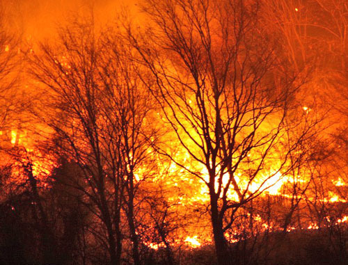 Крупный пожар произошел неподалеку от села Барановка в Сочи. 8 февраля 2013 г. Фото: Slavutich, http://www.privetsochi.ru