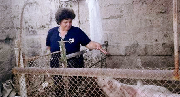 В селе Джанфида, Армавирская область. Фото: Нинель Ованнисян, http://womennet.am