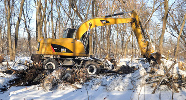Вырубка деревьев в Александровской роще, Ростов-на-Дону. Фото Александра Липковича, http://www.krestianin.ru