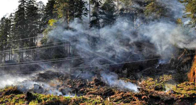 Лесной пожар. Фото МЧС России, http://www.mchs.ru/
