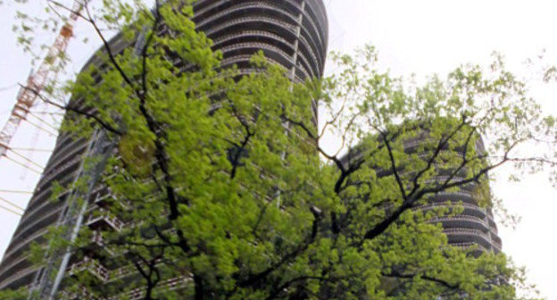 Сочи, парковая зона Курортного проспекта. Высотный жилой дом, разрешение на строительство которого было подписано главным архитектором города Олегом Шевейко несмотря на запрет строить здания выше 17 м. Фото Светланы Кравченко для "Кавказского узла"