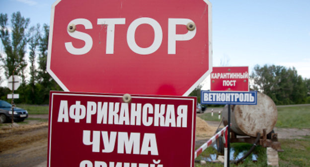 Карантинный пост на границе Волгоградской и Саратовской областей. 23 июня 2013 г. Фото пресс-службы правительства Волгоградской области, http://www.volganet.ru
