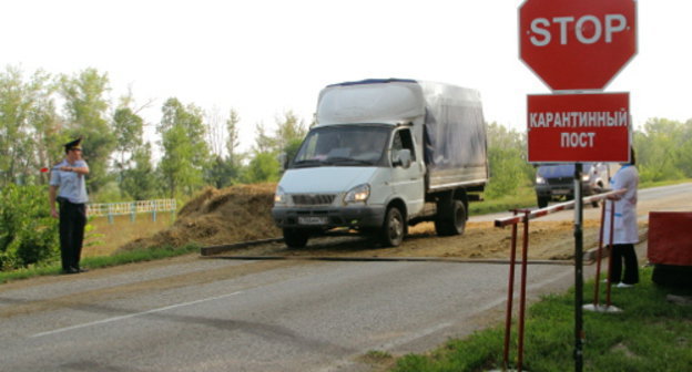 Карантинный пост в Волгоградской области. Фото пресс-службы пресс-службы аппарата Главы Правительства Волгоградской области, http://www.volganet.ru/