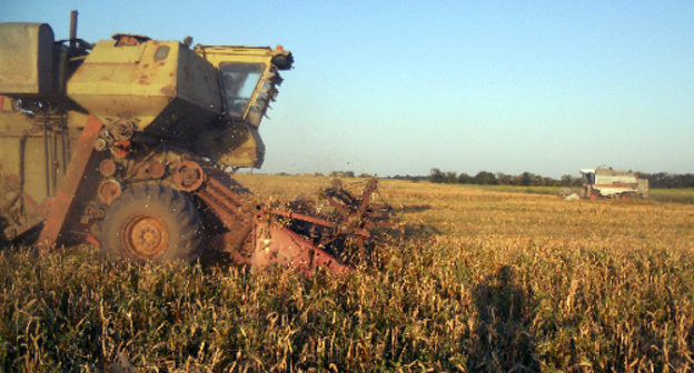 Уборка зерновых в Чечне. Фото: http://mcx-chr.ru