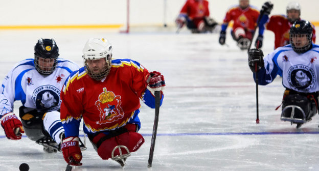 Международный турнир "Четырех наций" по следж-хоккею. Сочи, ледовая арена "Шайба", 27 августа 2013 г. фото: Пресс-центр ГК "Олимпстрой"