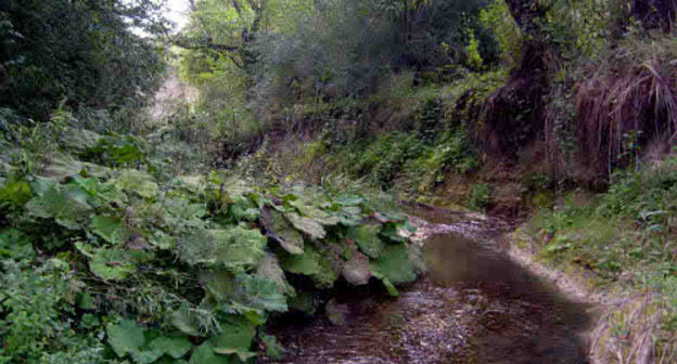 КБР, река Шалушка. Фото: http://lib.znate.ru