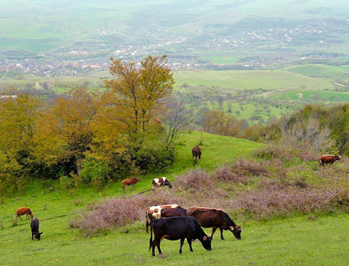 Окрестности села Кармир Шука, Армения. Фото: LJ user plusninety, http://commons.wikimedia.org/