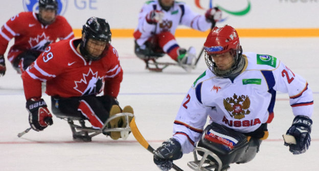 Матч Канада - Россия на международном турнире "Четырех наций" по следж-хоккею. Сочи, ледовая арена "Шайба", 31 августа 2013 г. Фото пресс-службы Оргкомитета "Сочи 2014"