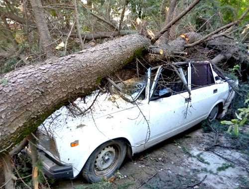 Машина, пострадавшая в результате урагана. Сочи, 26 сентября 2013 г. Фото Светланы Кравченко для "Кавказского узла"
