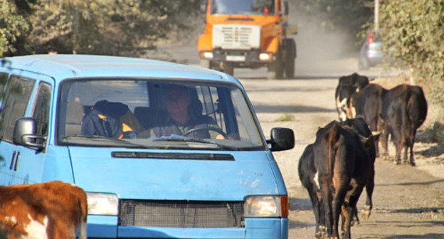 Дорога в микрорайоне Хоста. Сочи, октябрь 2013 г. Фото Павла Лиманова 