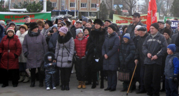 Ростовская область, Новочеркасск, 1 декабря 2013 г. Митинг против вырубки деревьев в роще "Красная весна". Фото Олеси Диановой для "Кавказского узла"