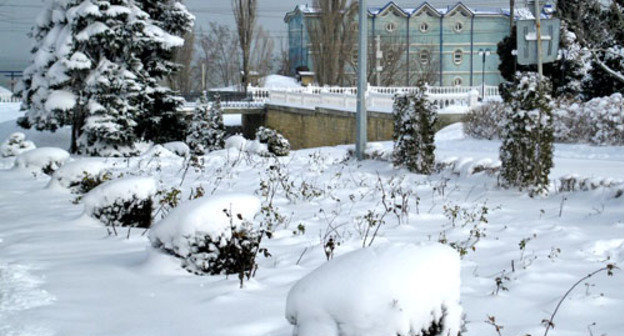 Городской приморский парк Махачкалы после снегопада. Дагестан, 31 января 2014 г. Фото Тимура Исаева для "Кавказского узла"