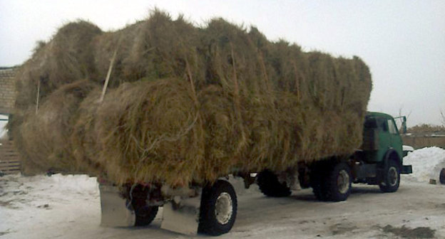Грузовик с сеном для продажи. Волгоградская область, январь 2014 г. Фото: http://www.avito.ru/volgograd/tovary_dlya_zhivotnyh/seno_272217947
