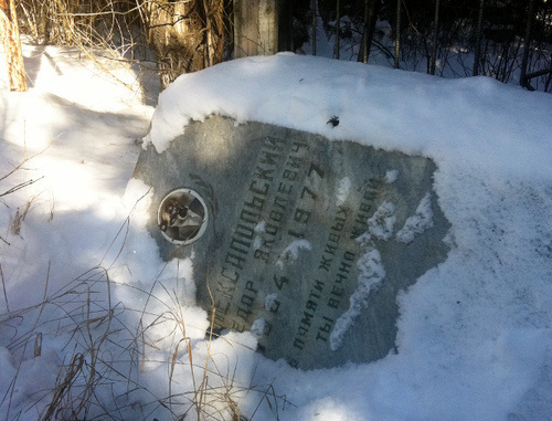 Поваленное надгробие на одном из христианских кладбищ в Чечне. Февраль 2014 г. Фото: ПЦ "Мемориал", http://memo.ru/d/189489.html