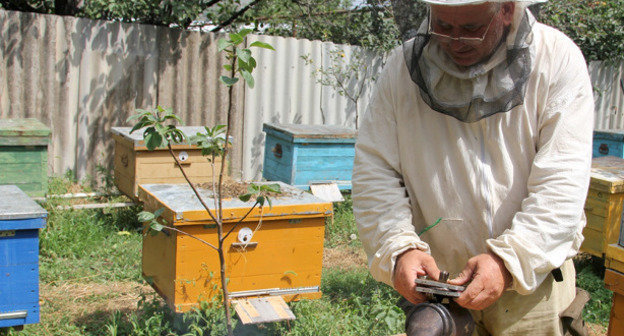 Пасека в Итум-Калинском районе Чечни. Photo by Alieva Iman, Itum-Kali, Chechnya 2012, http://www.chechnyatravel.com/chechen-news/chechenskij-myod-i-pchyoly.htm